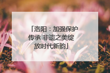洛阳：加强保护传承 非遗之美绽放时代新韵
